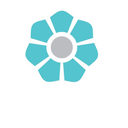 بانک-توسعه-تعاون---انسو